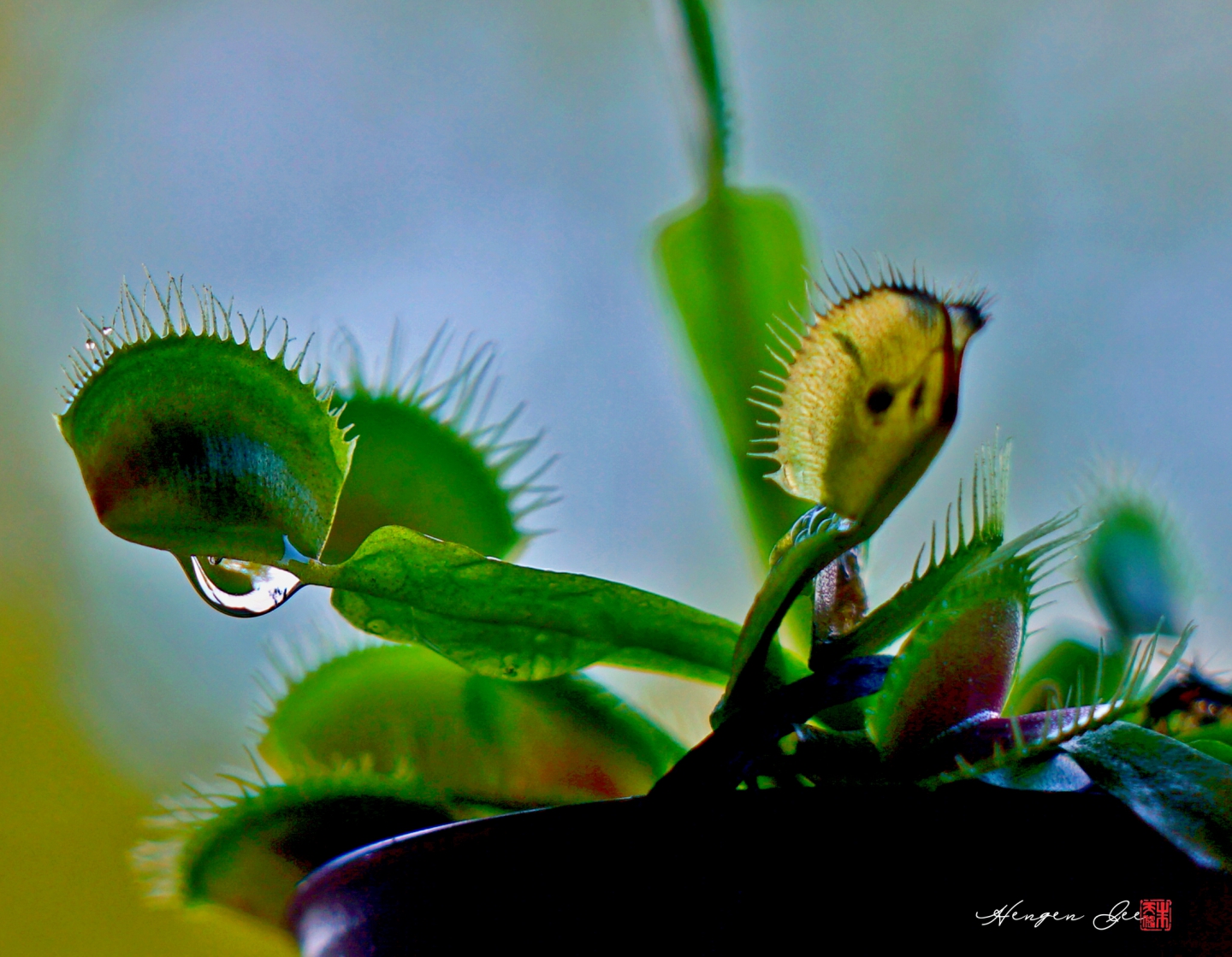 DSC09889_.jpg