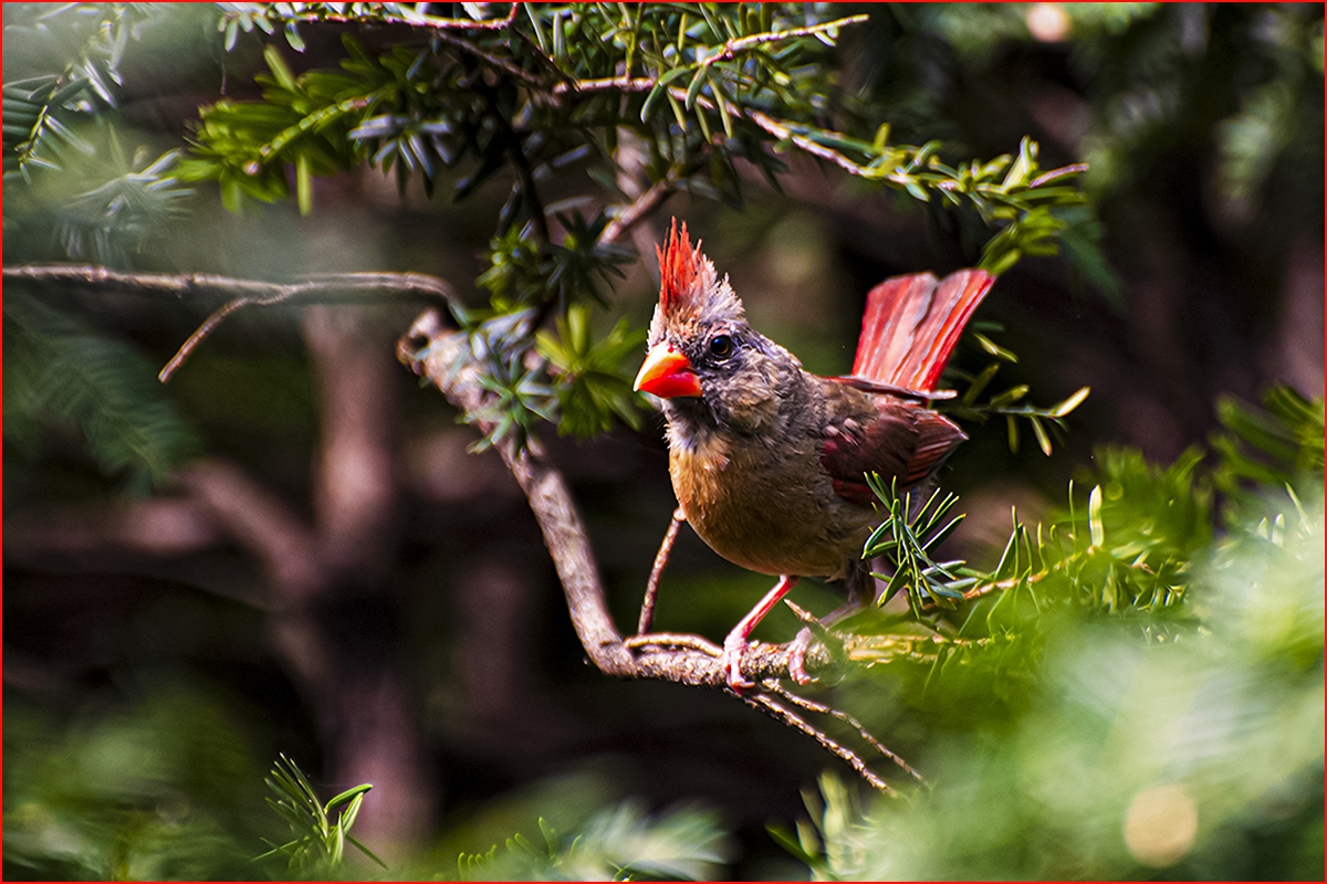 _DSC5400a.jpg
