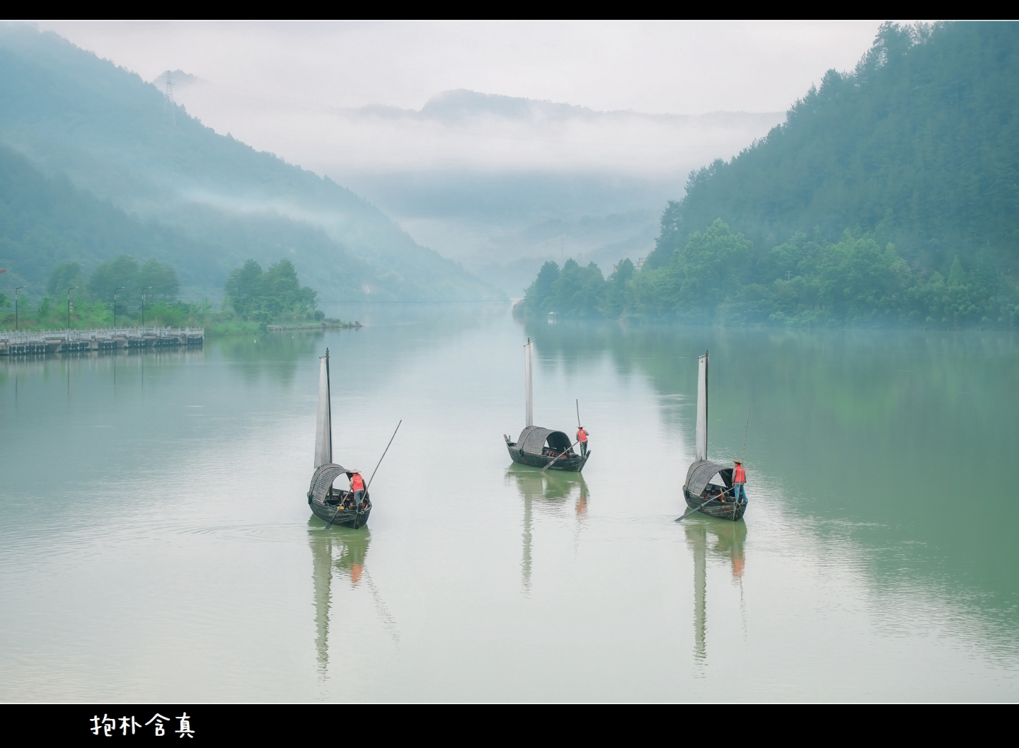 DSC_6571- .jpg