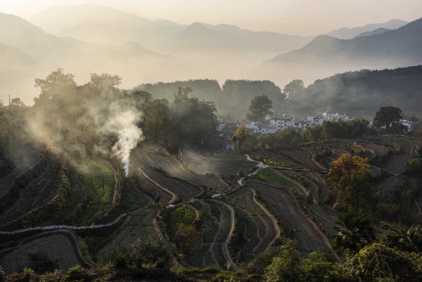 DSC_7271-0.jpg