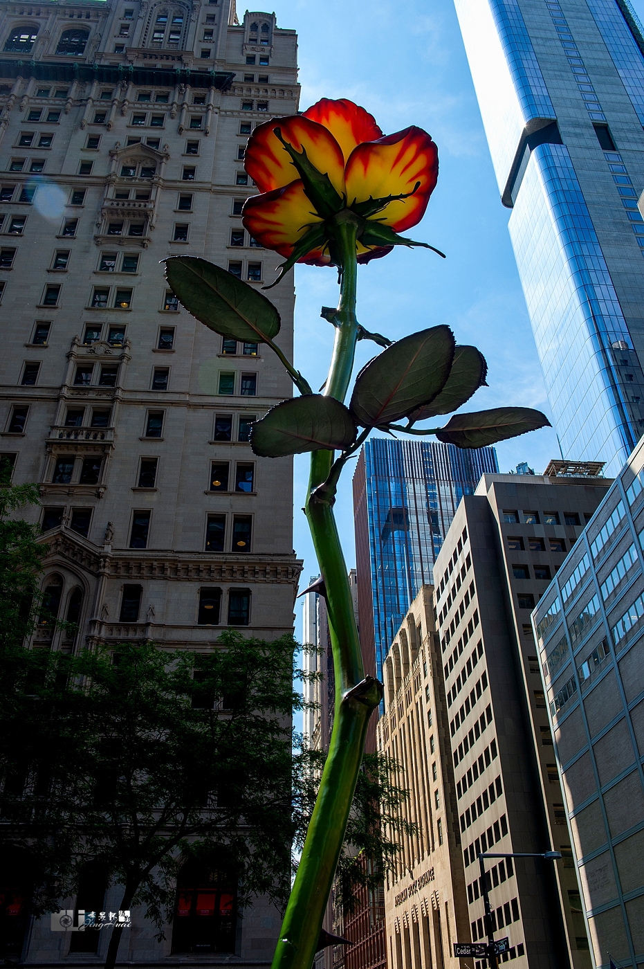 DSC_4476_.jpg