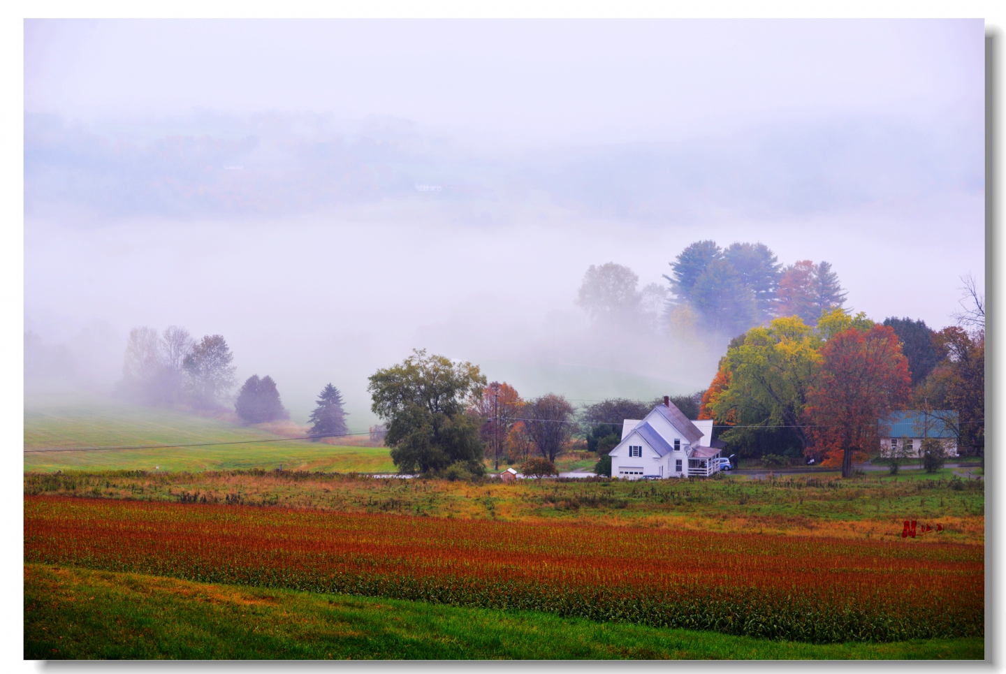 DSC_5609__.jpg