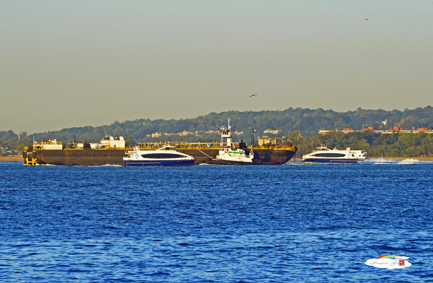 DSC00246_.jpg