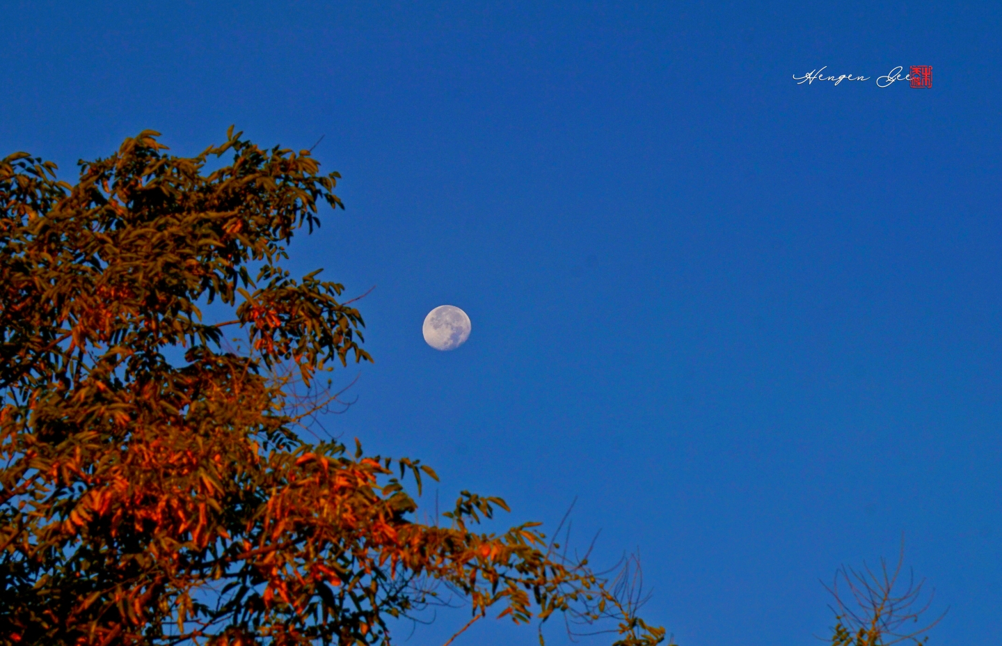 DSC00254_.jpg