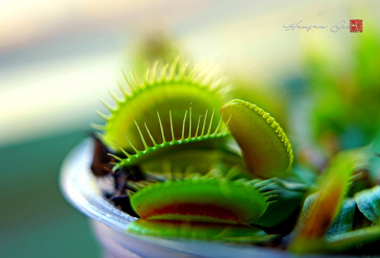 DSC00291_.jpg