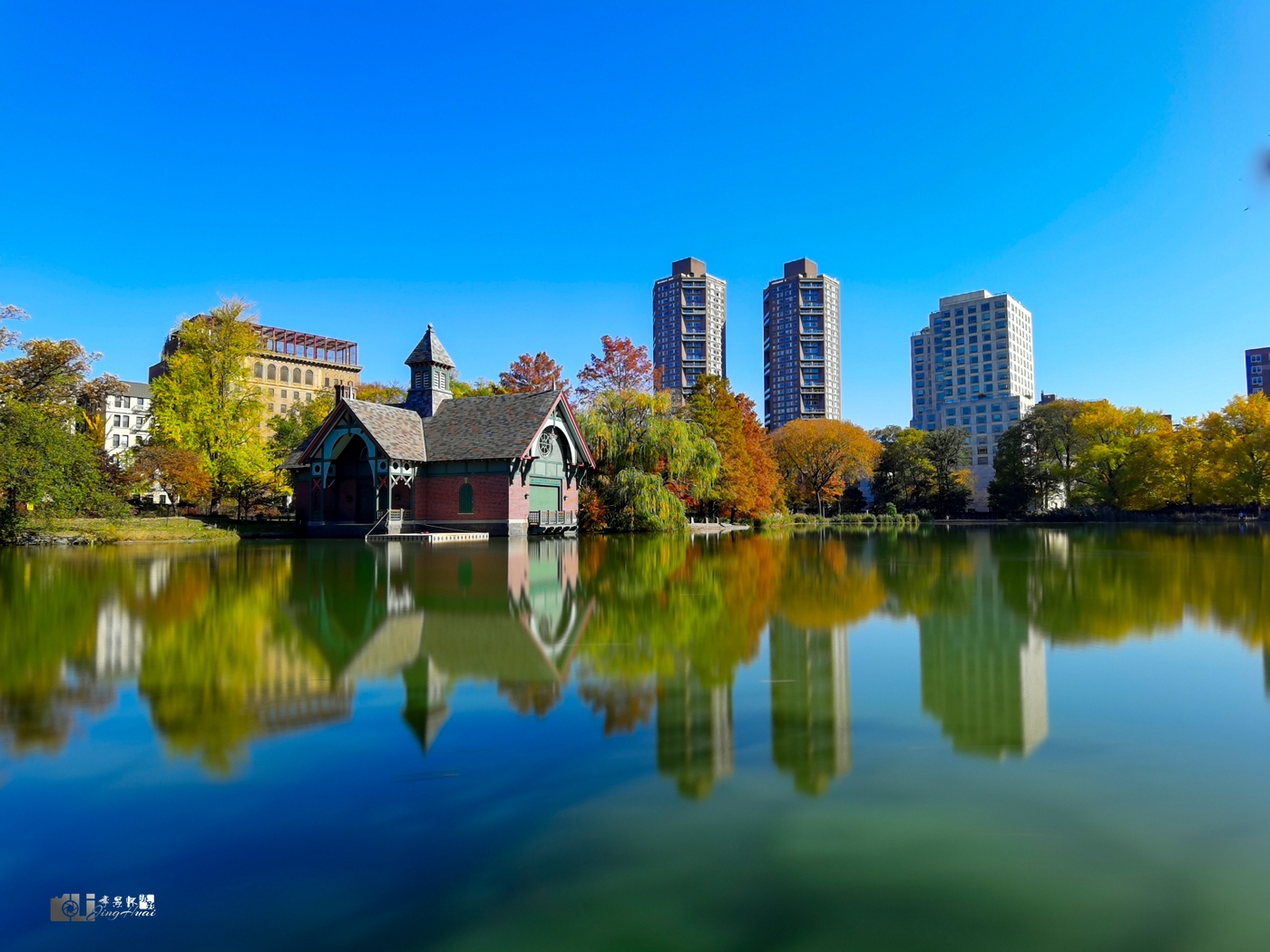 IMG_20201108_113233_.jpg
