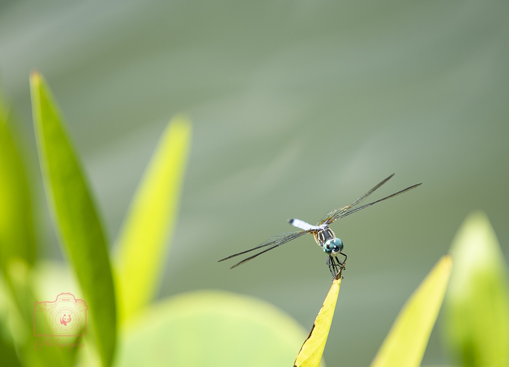 DSC_5013.jpg