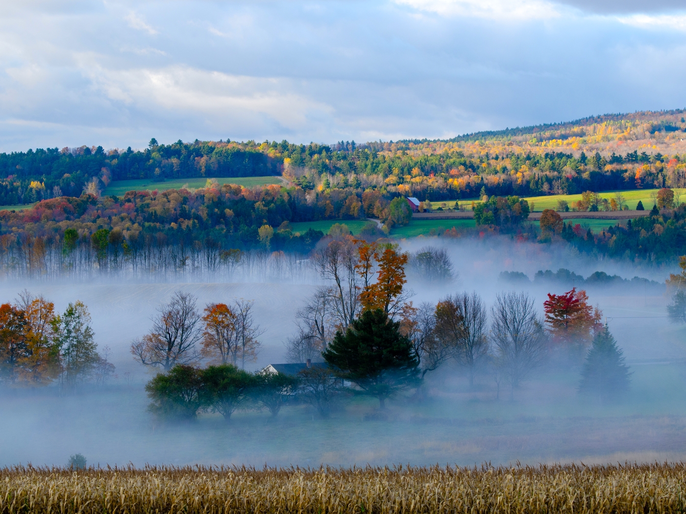 DSC_8672.jpg