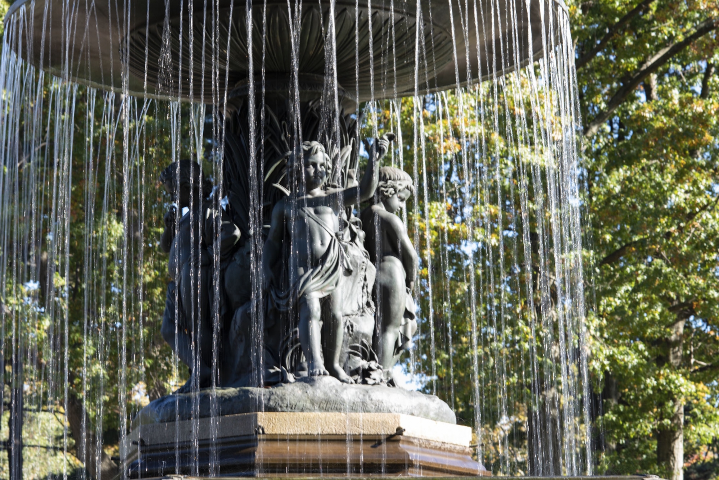 _DSC9044.jpg