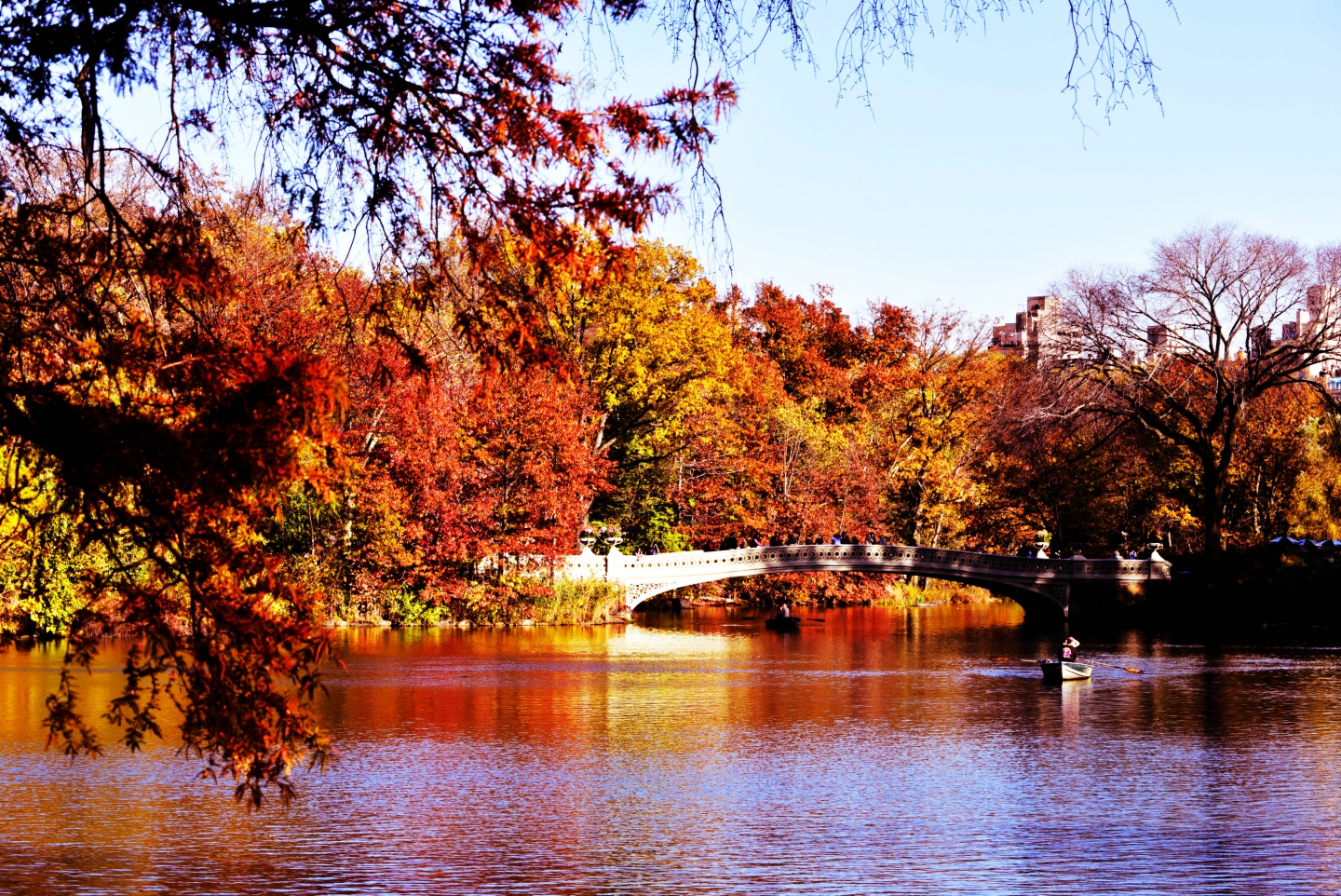 DSC_1450_.jpg