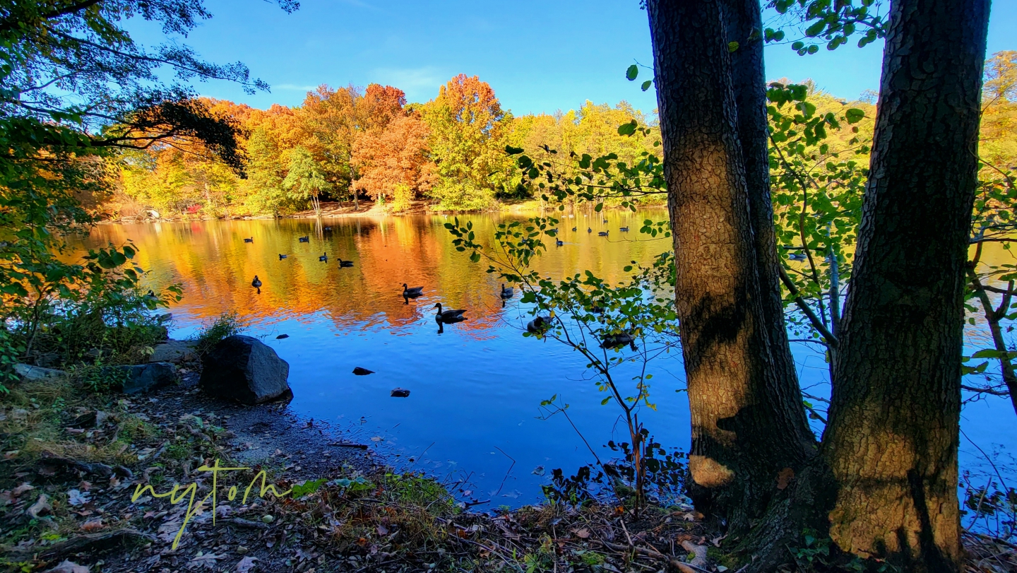 20221030_142751_mh1667606180374.jpg
