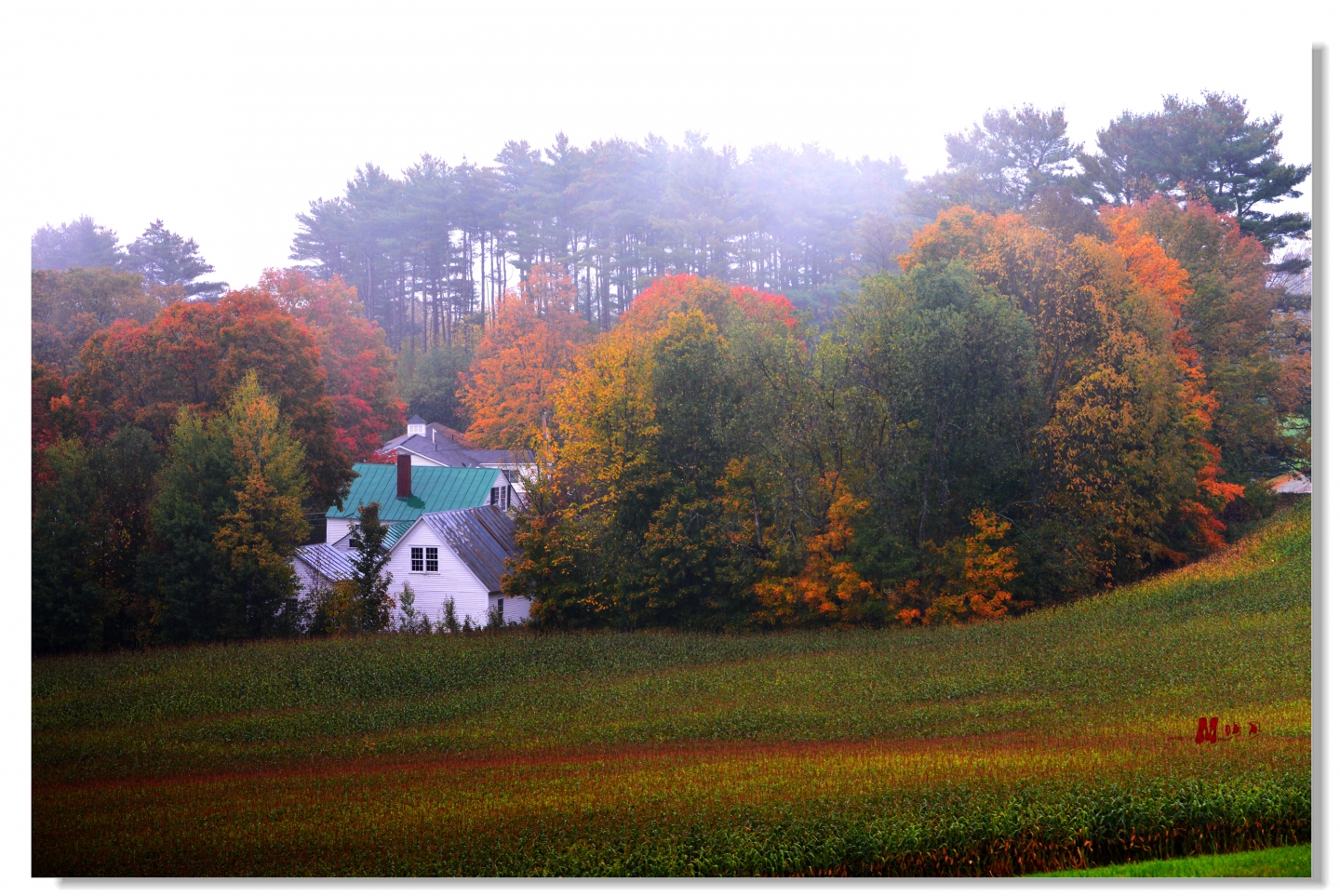 DSC_5607__.jpg