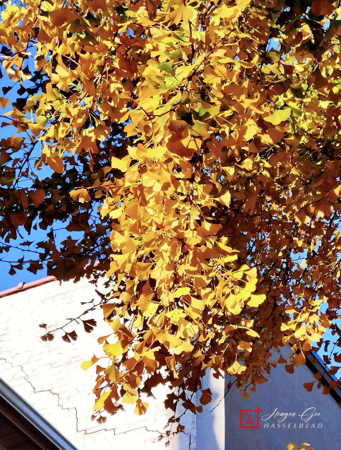 IMG20221107143850_.jpg