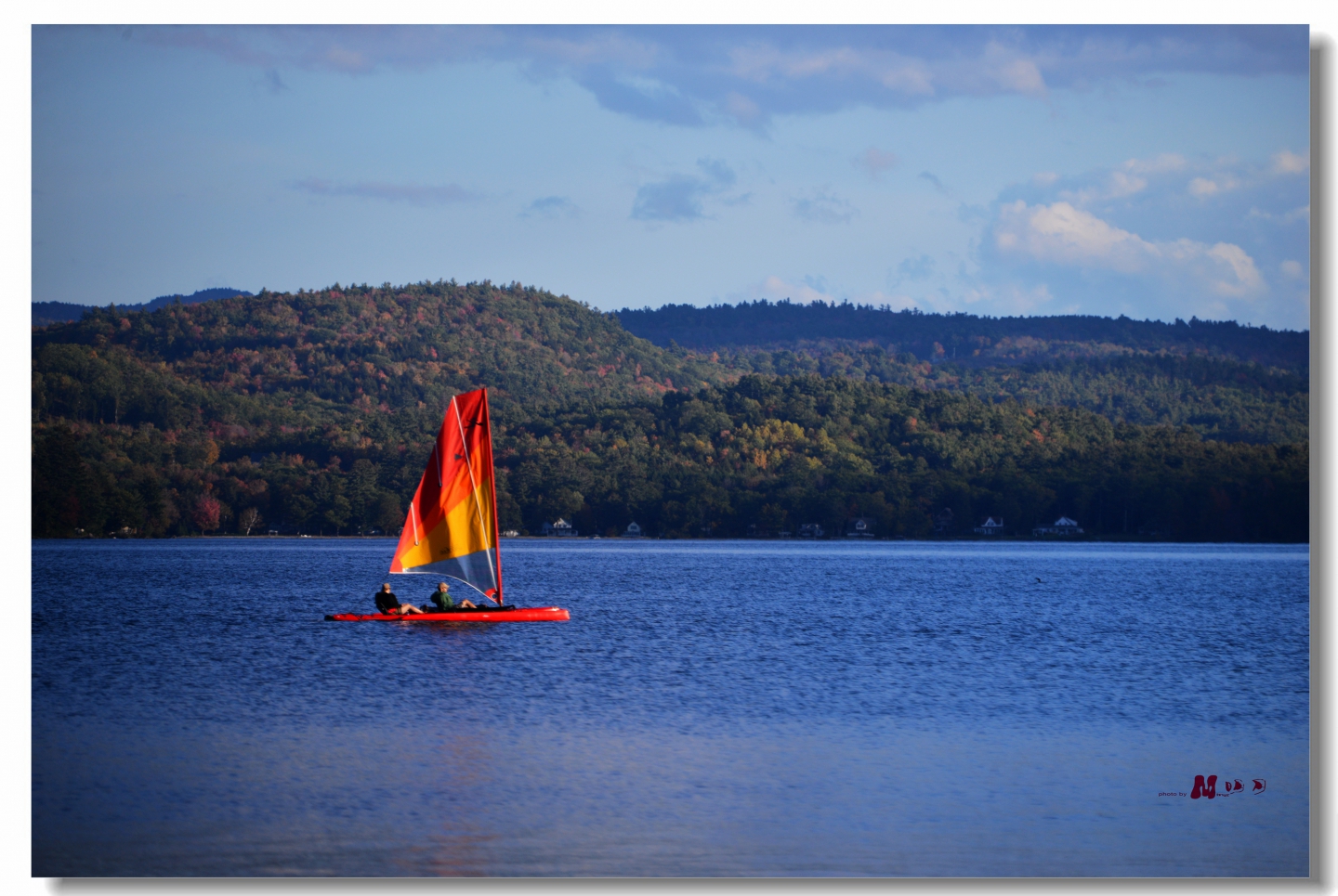 DSC_5431__.jpg