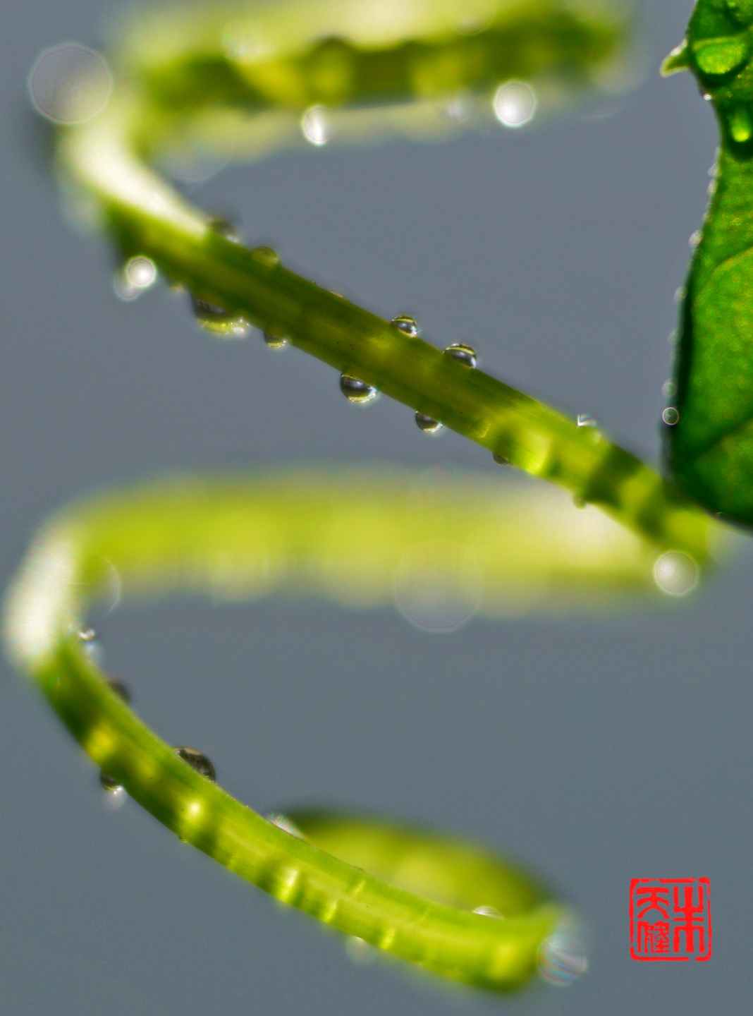 DSC07681_.jpg