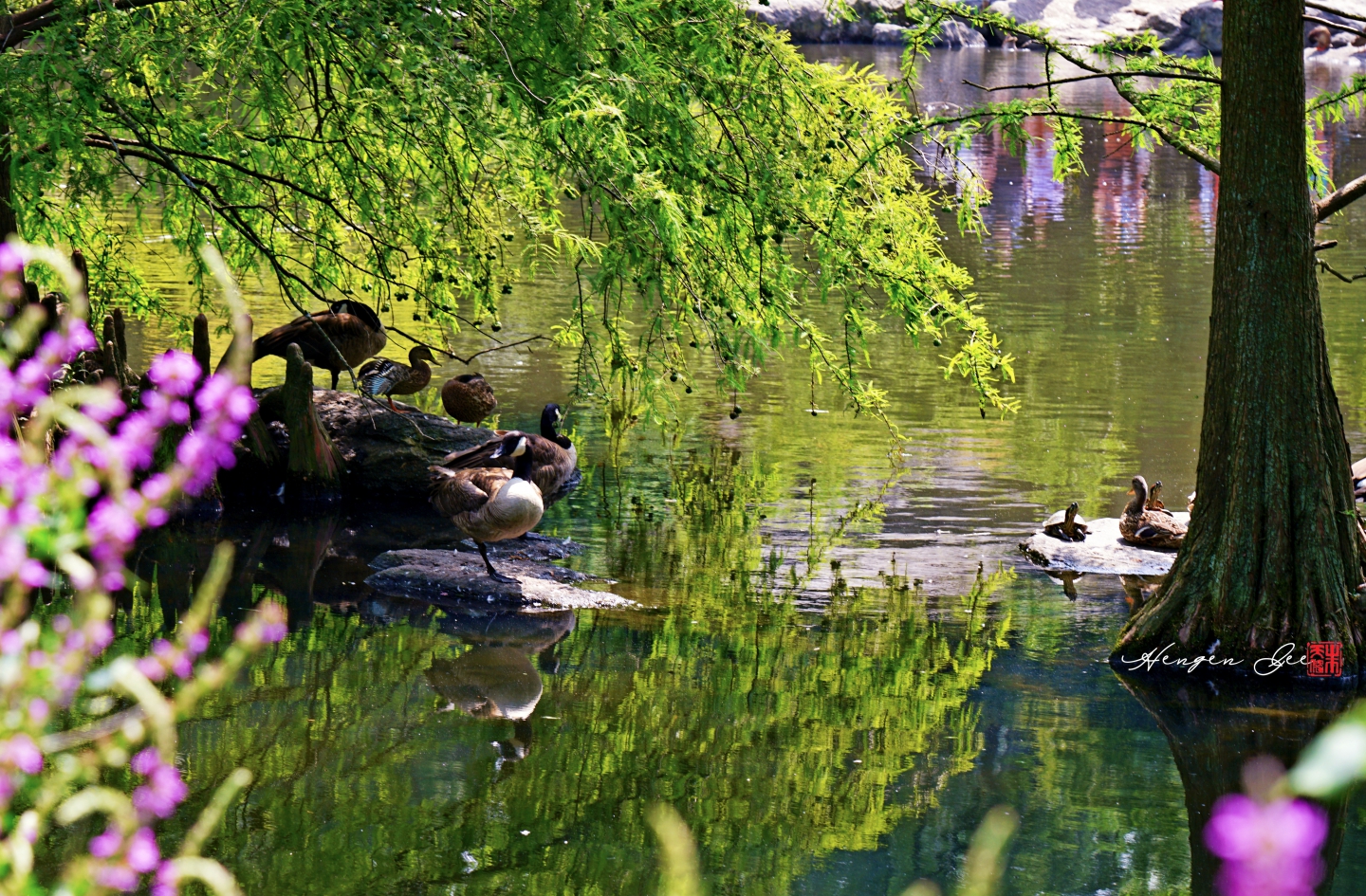 DSC09575_.jpg
