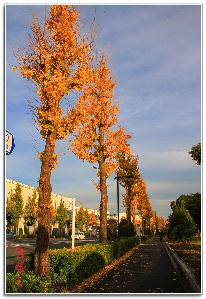 si13204191.jpg