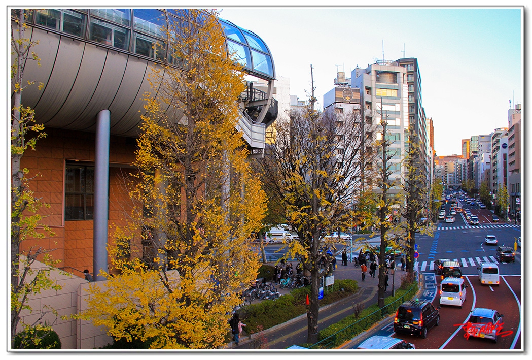 si132042013473.jpg