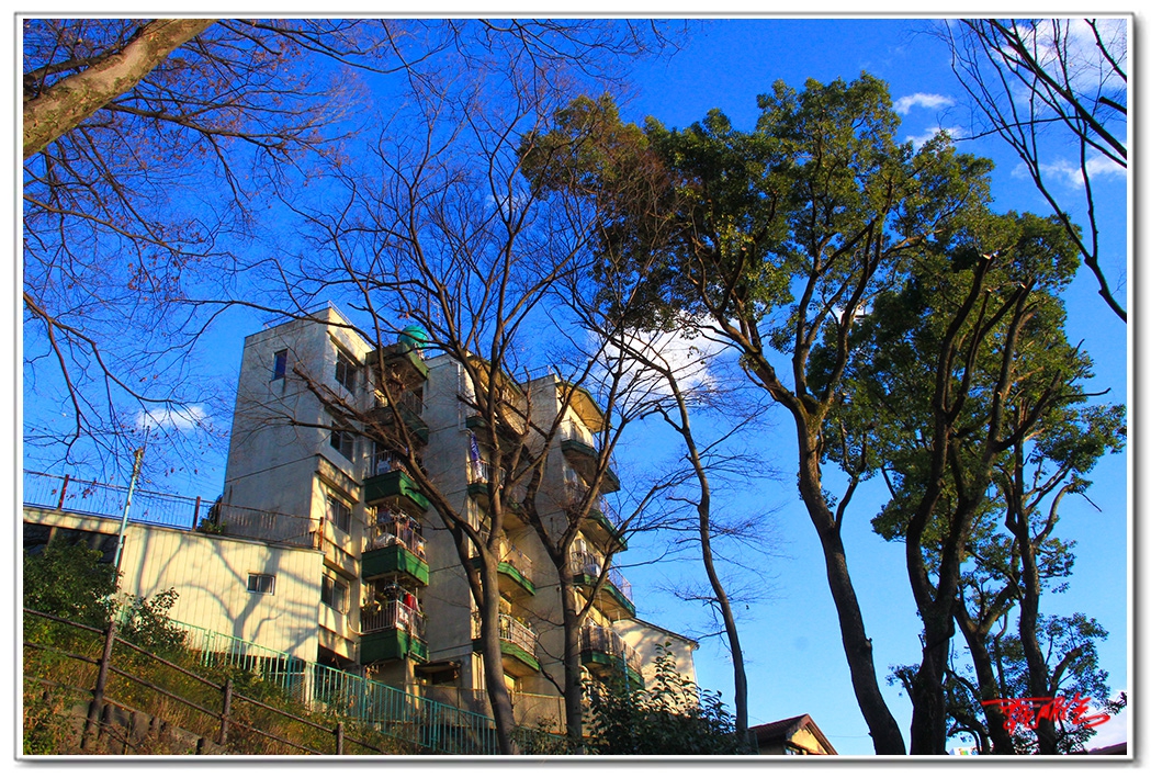 si1320420134502.jpg