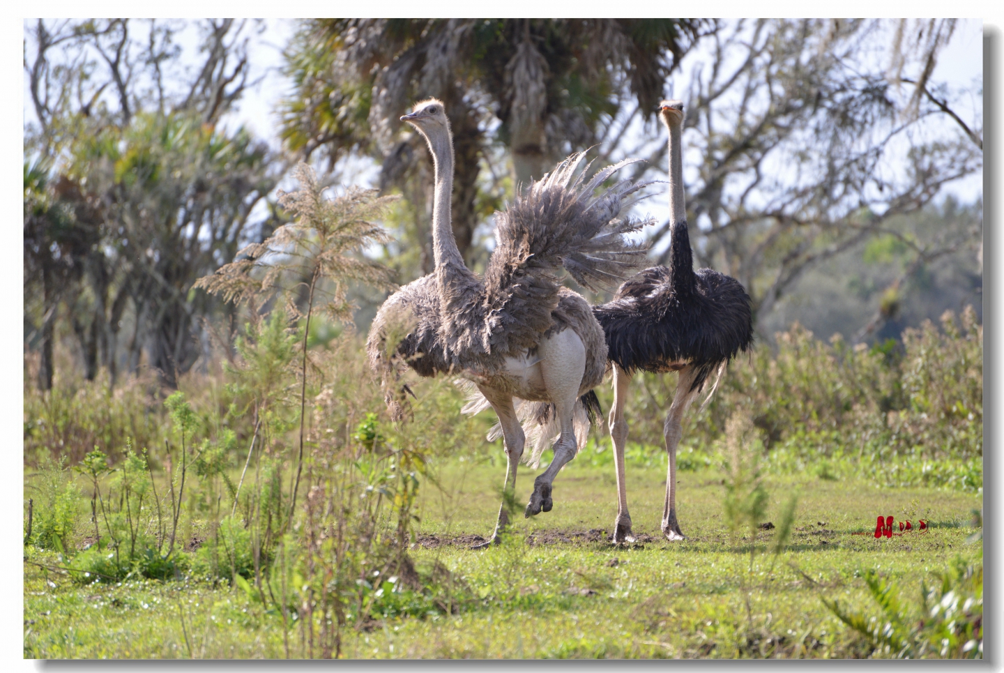 02 (337)_����.jpg