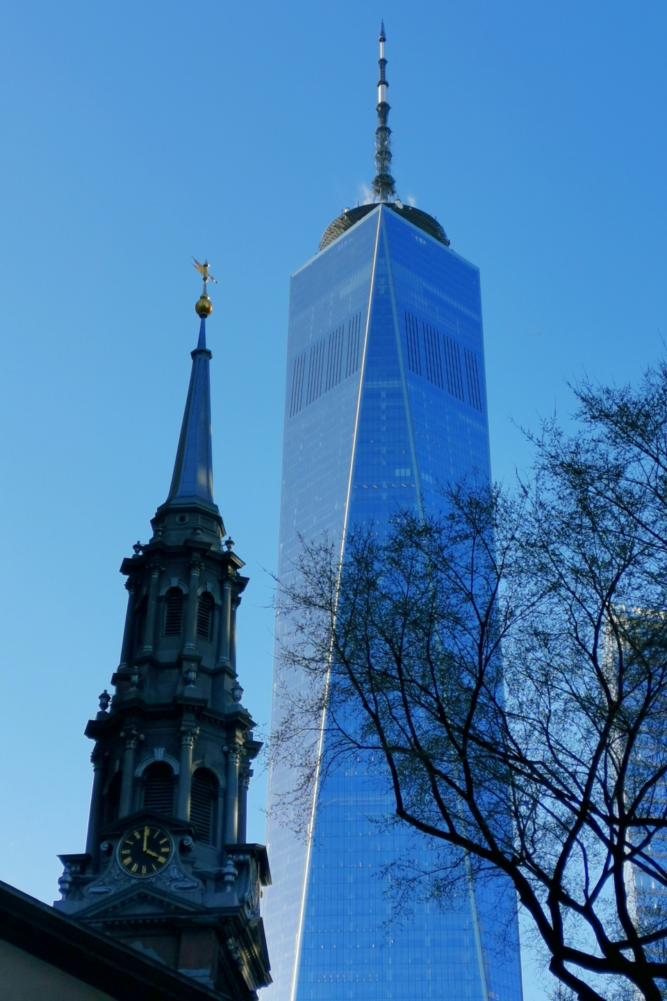 IMG_20230225_094247.jpg