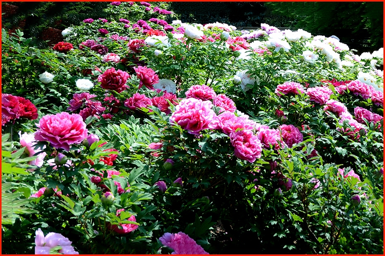 DSC_024.jpg
