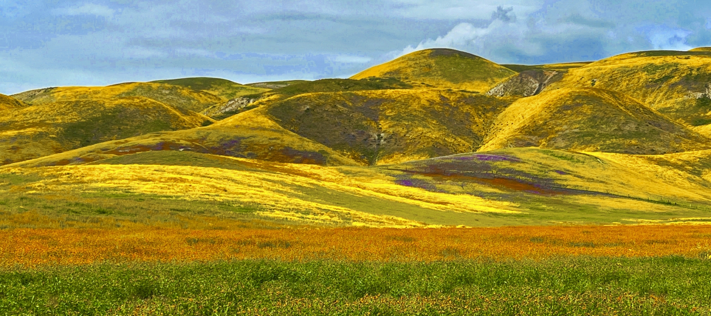 2023_04 Carrizo Plain_1006.JPG