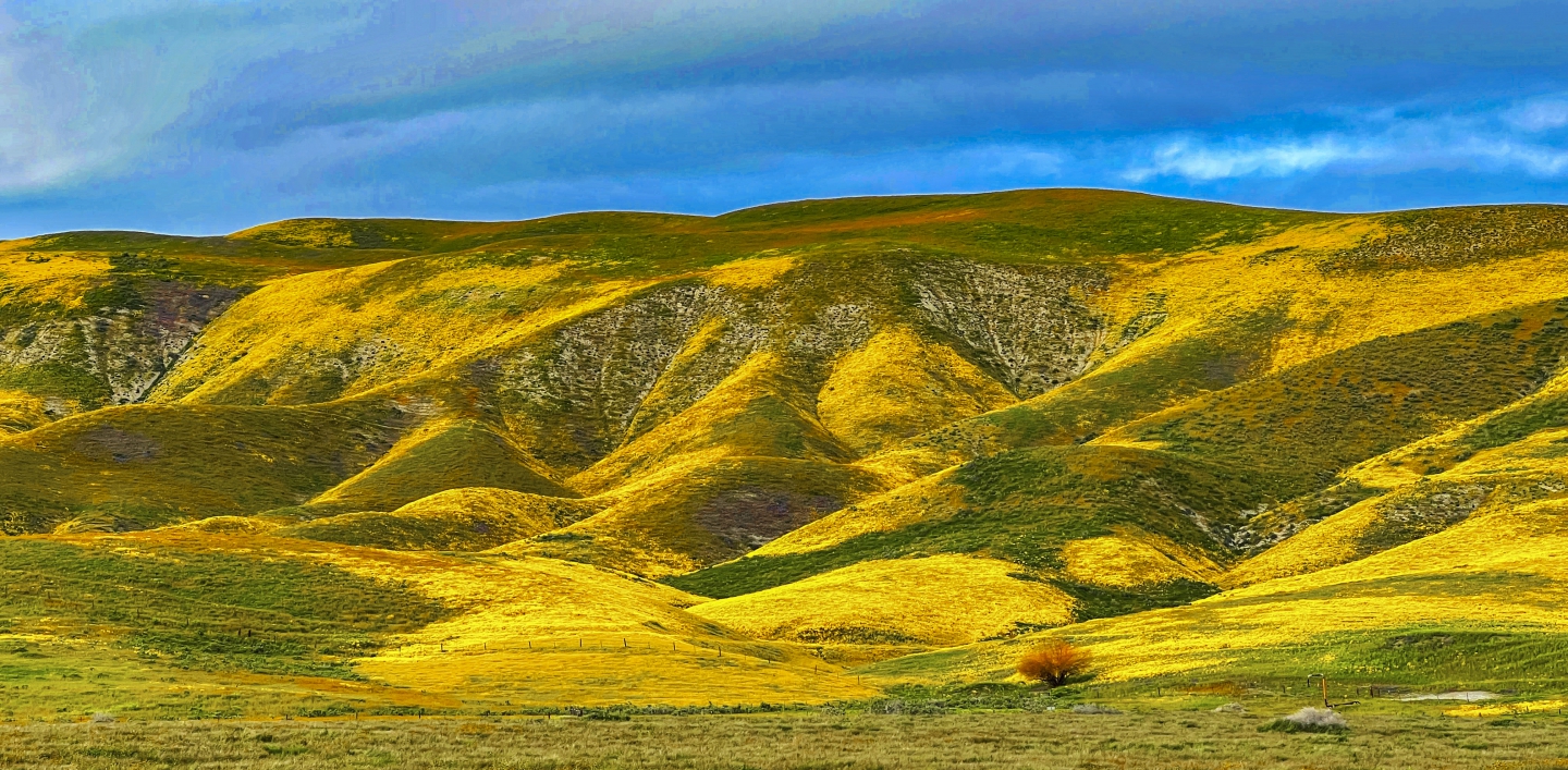 2023_04 Carrizo Plain_1007.JPG