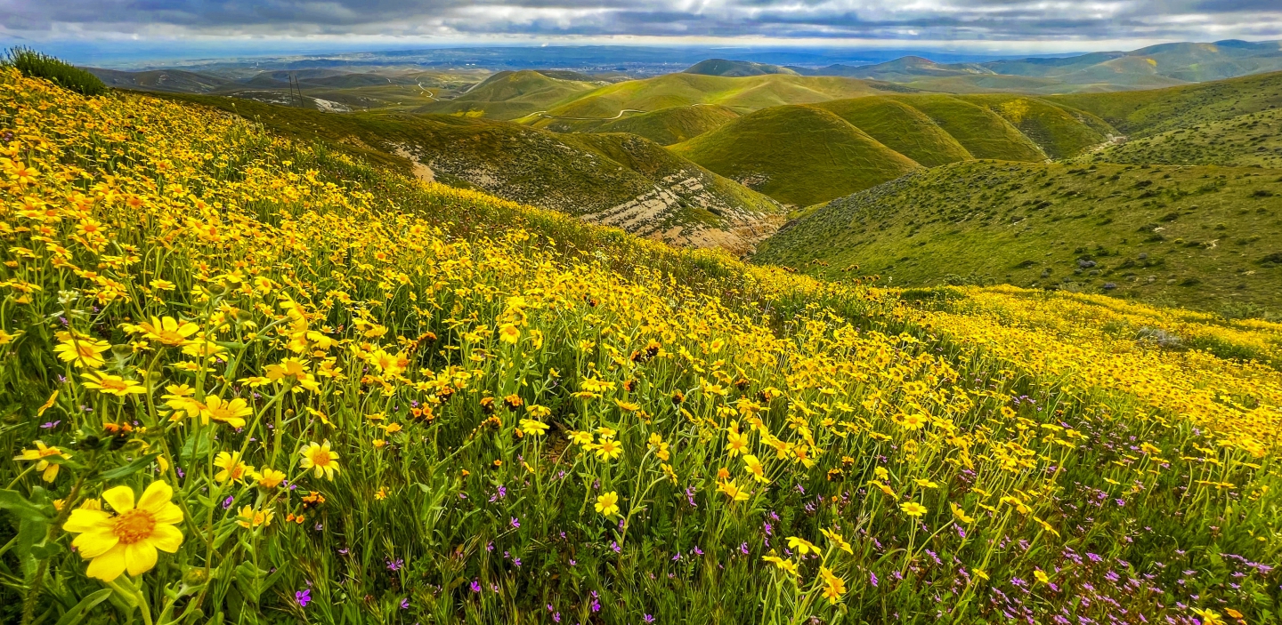 2023_04 Carrizo Plain_1010.JPG