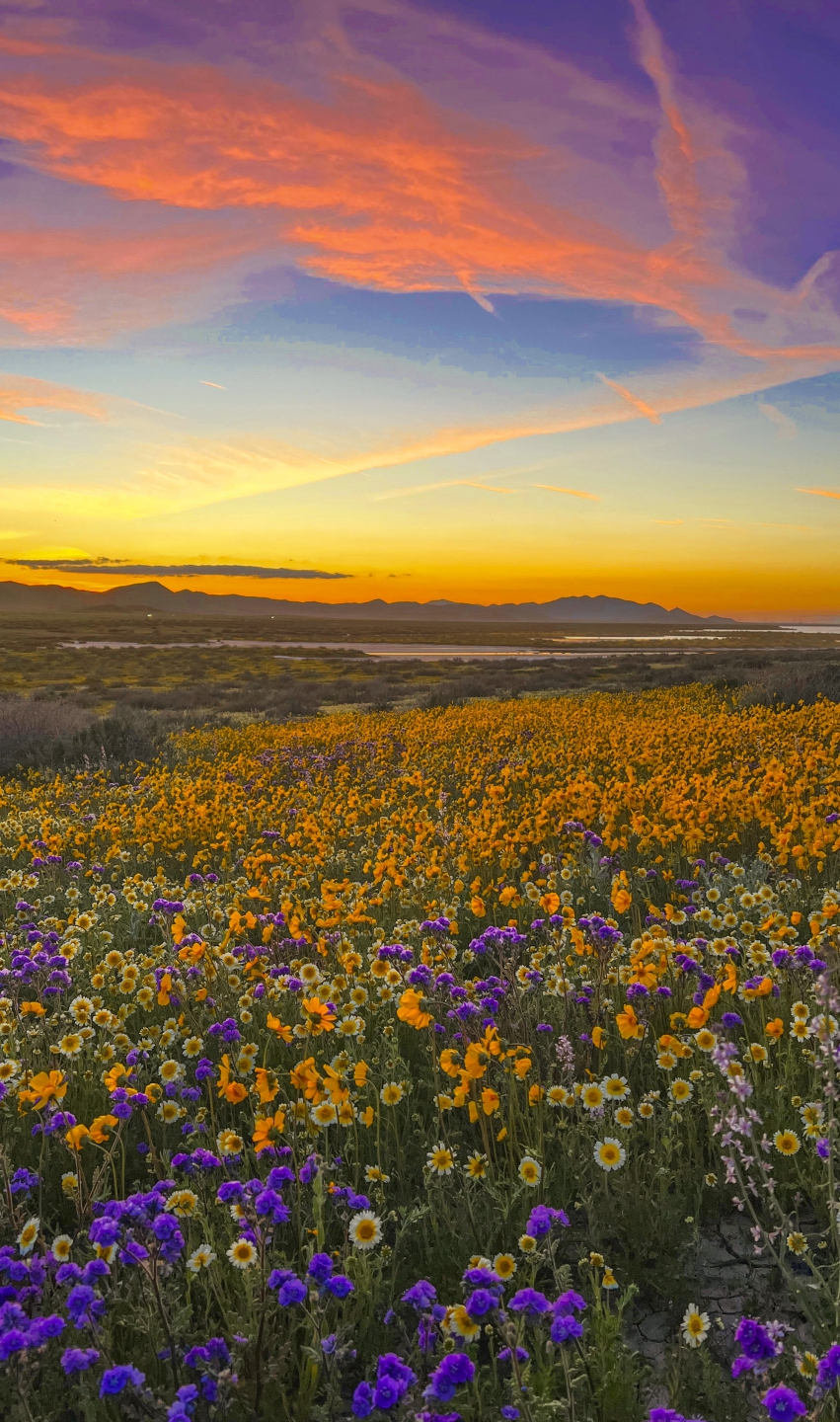 2023_04 Carrizo Plain_1013.JPG