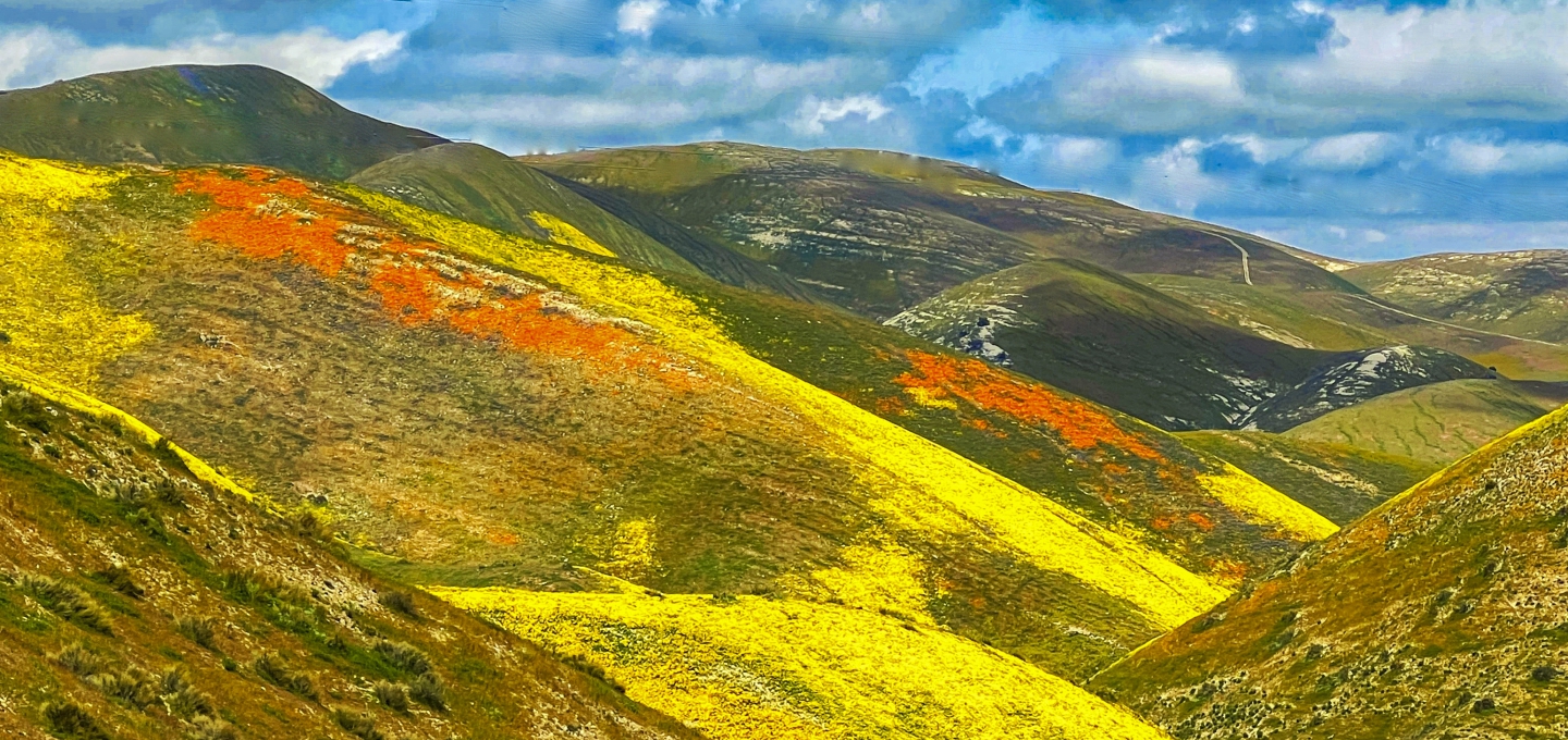 2023_04 Carrizo Plain_1014.JPG