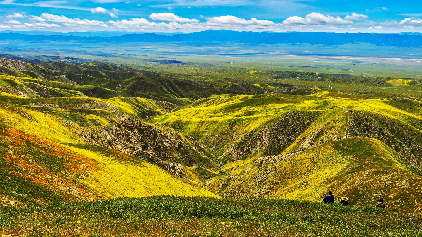 2023_04 Carrizo Plain_1018.JPG