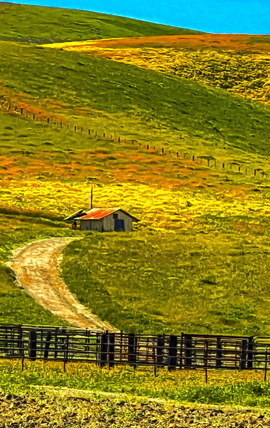 2023_04 Carrizo Plain_1023.jpg