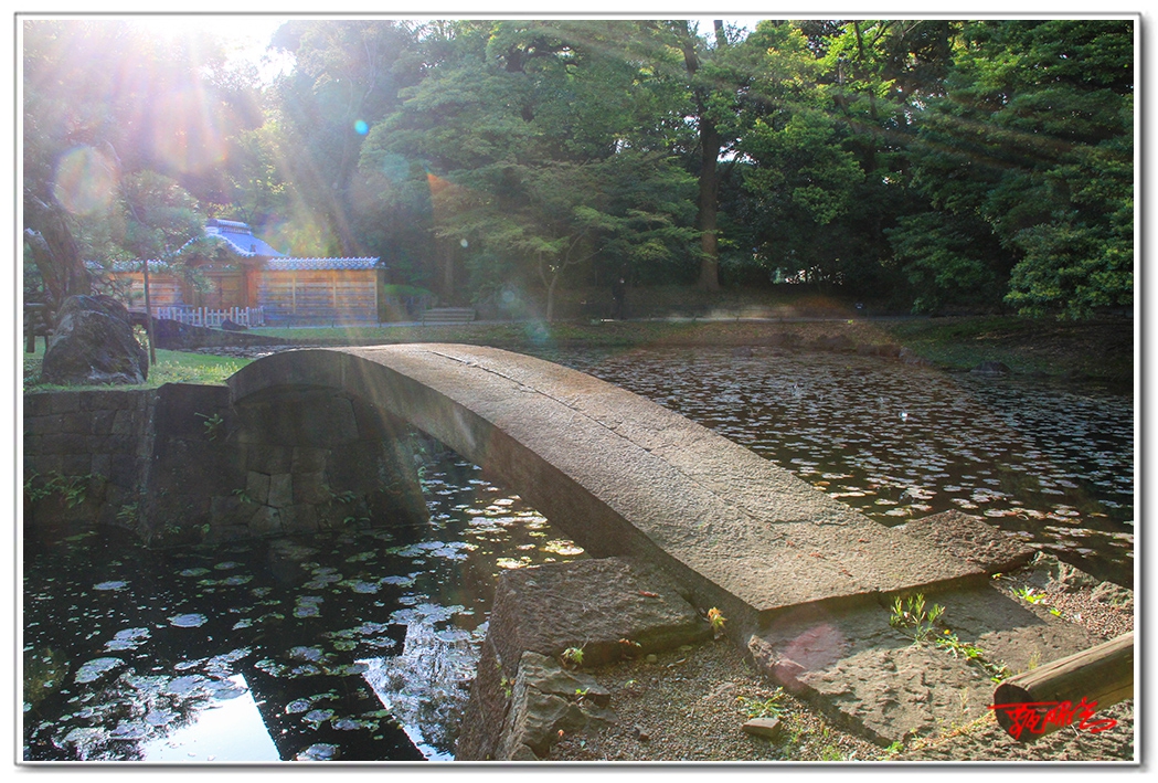 si123459572309.jpg