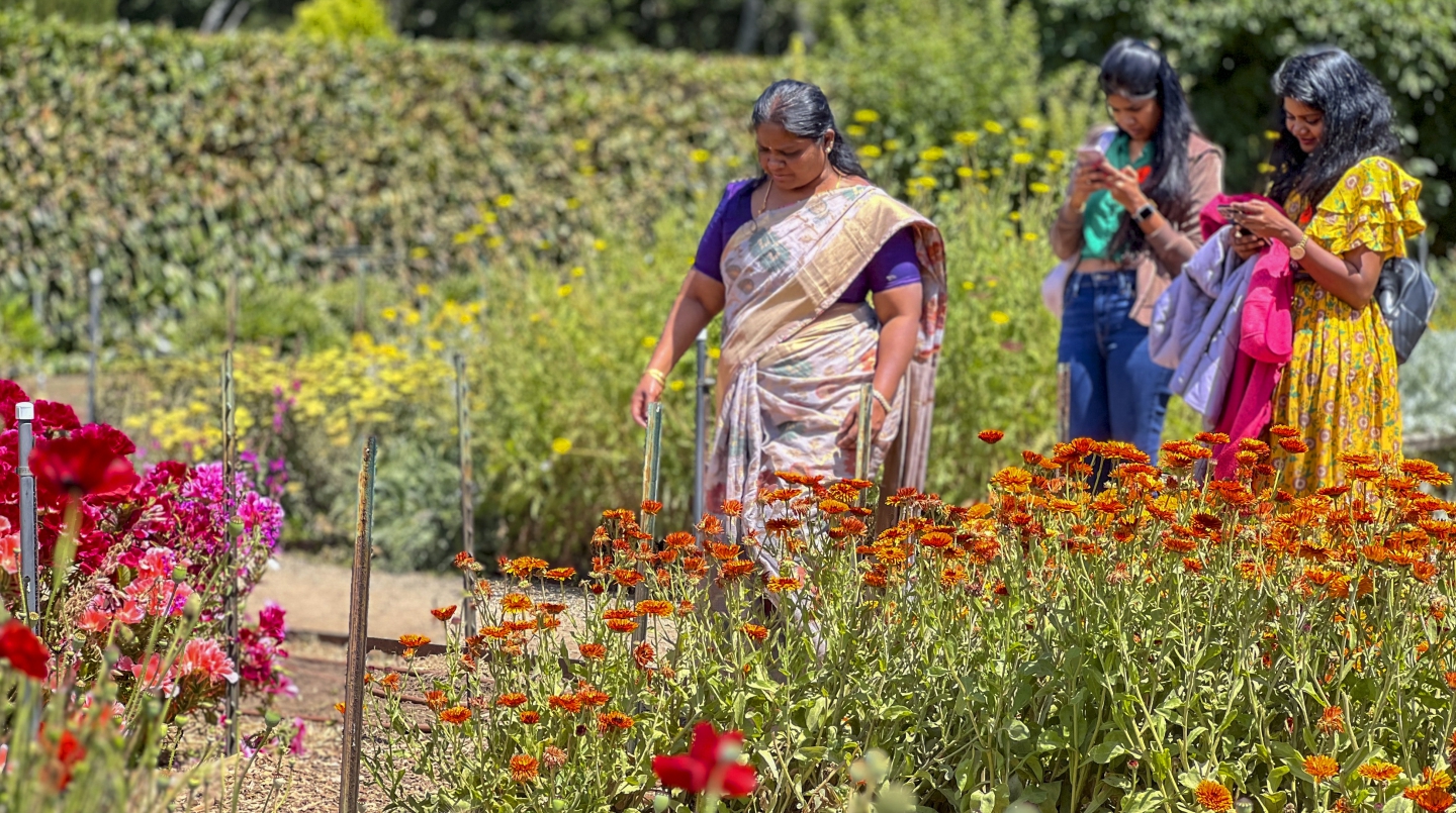 filoli_2018.jpg