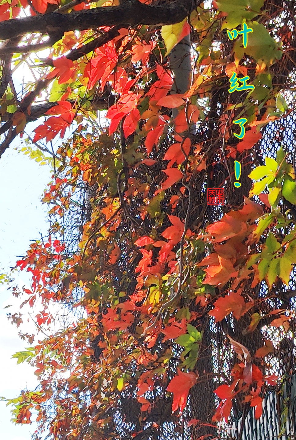 IMG20231022144252_.jpg