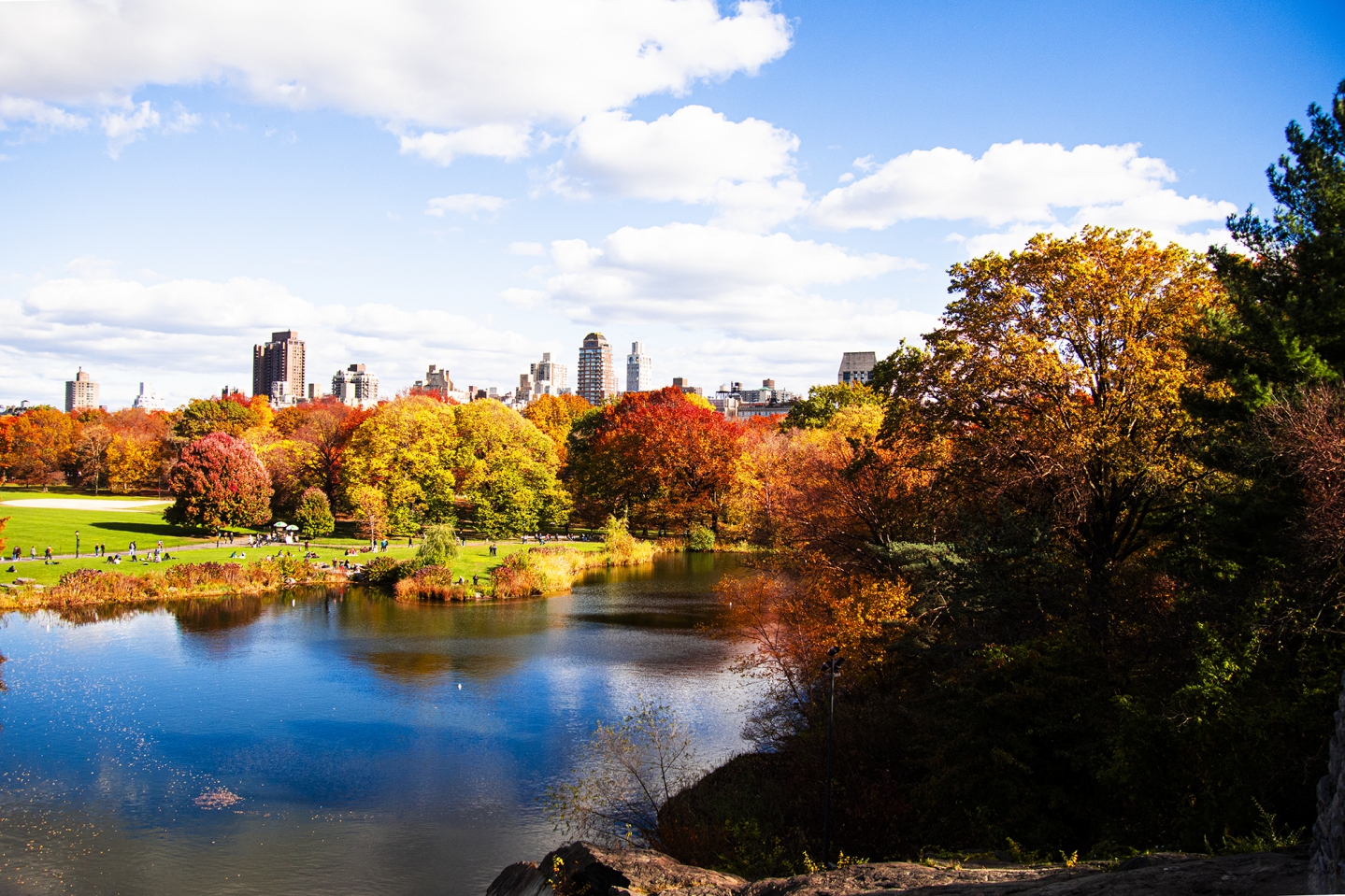 _DSC6209.jpg