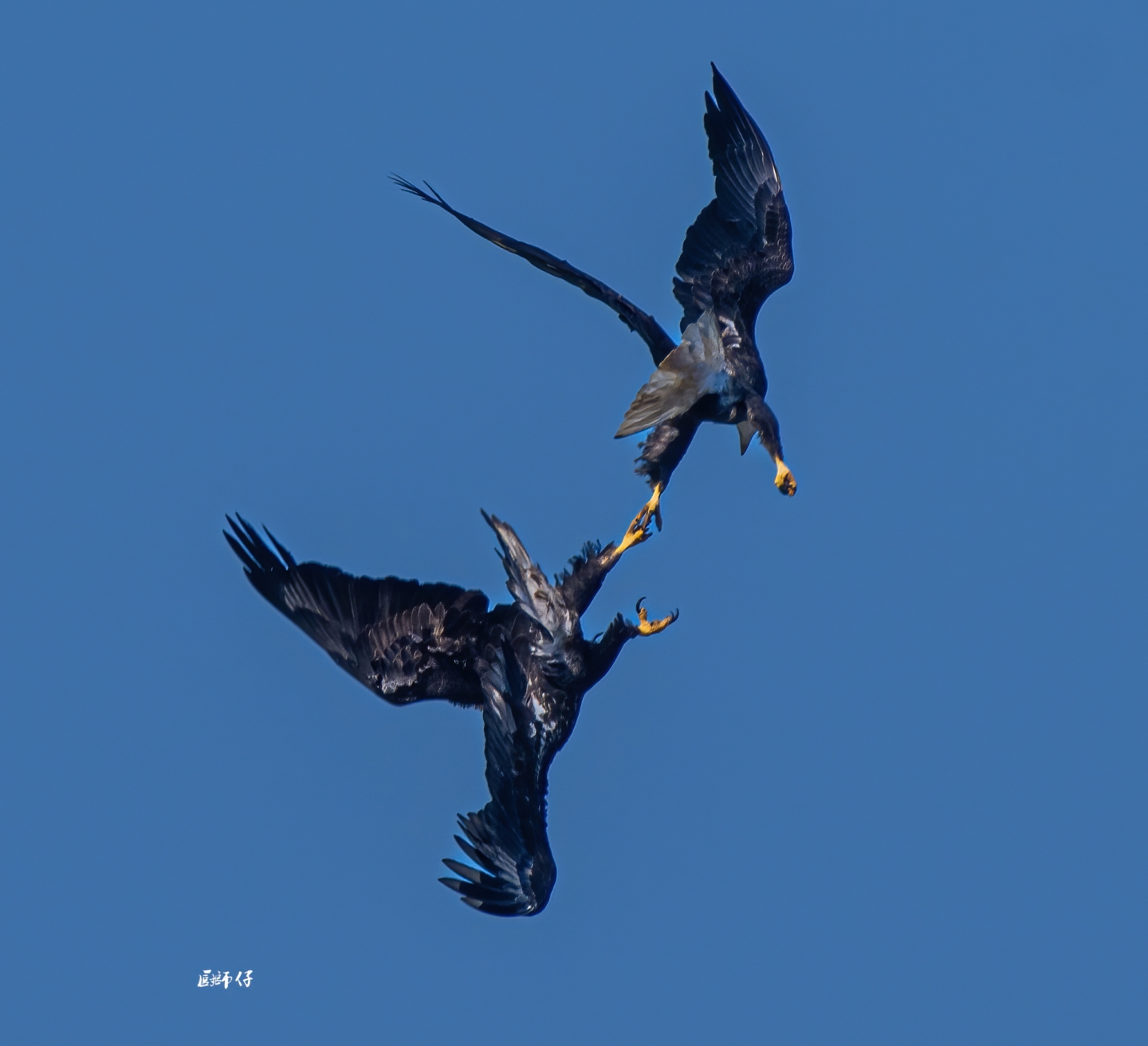 DSC_6116 .jpg