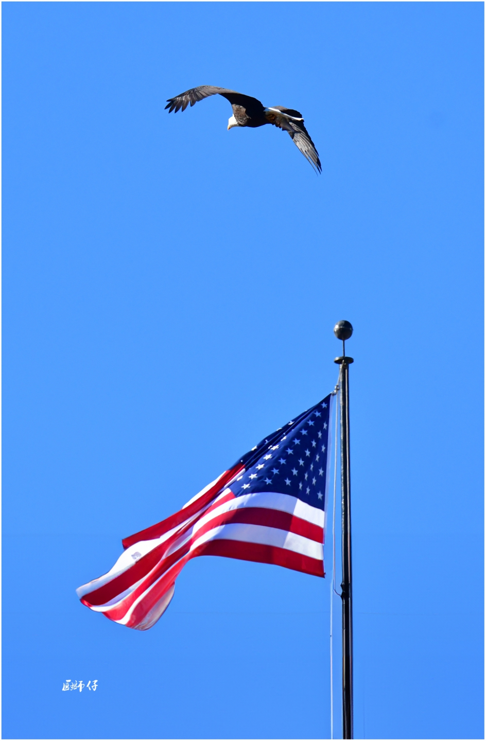 DSC_6554 5.jpg