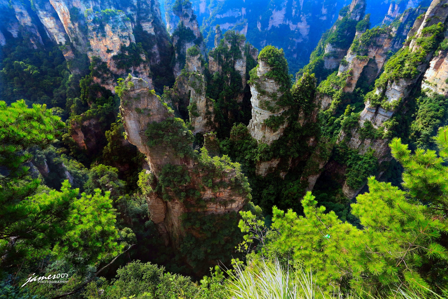 NM4A0579_ͼ_ͼ.jpg