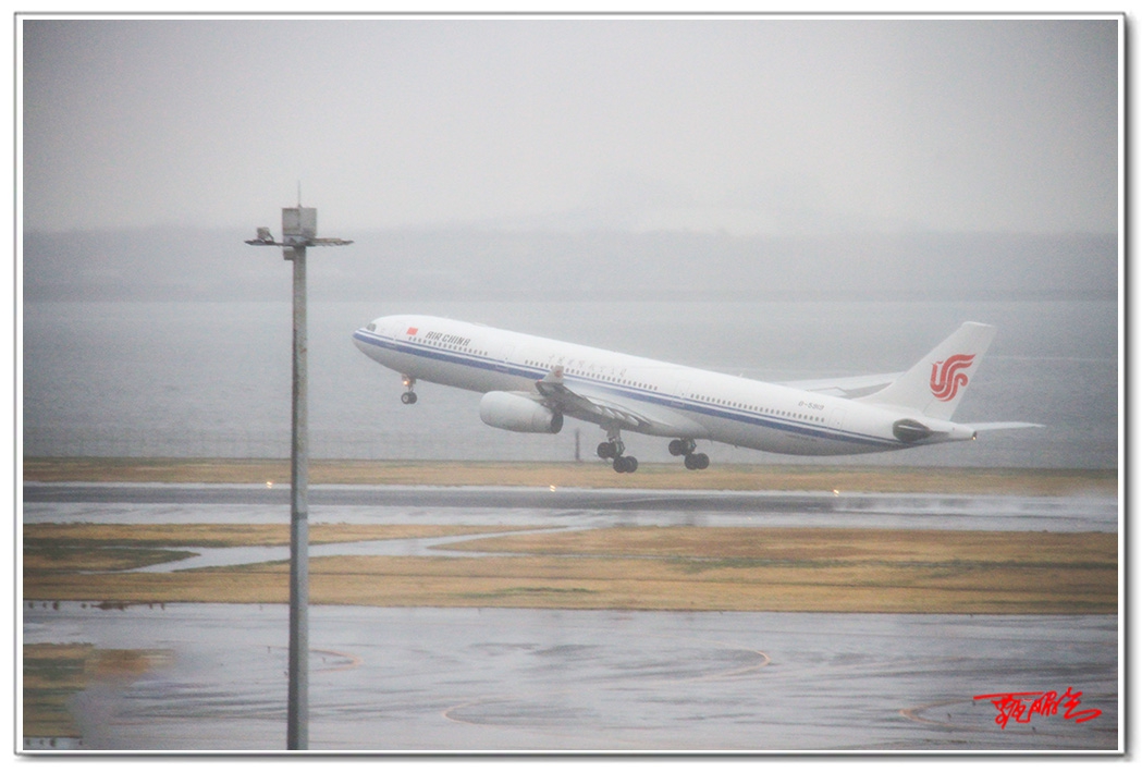 si2035636.jpg