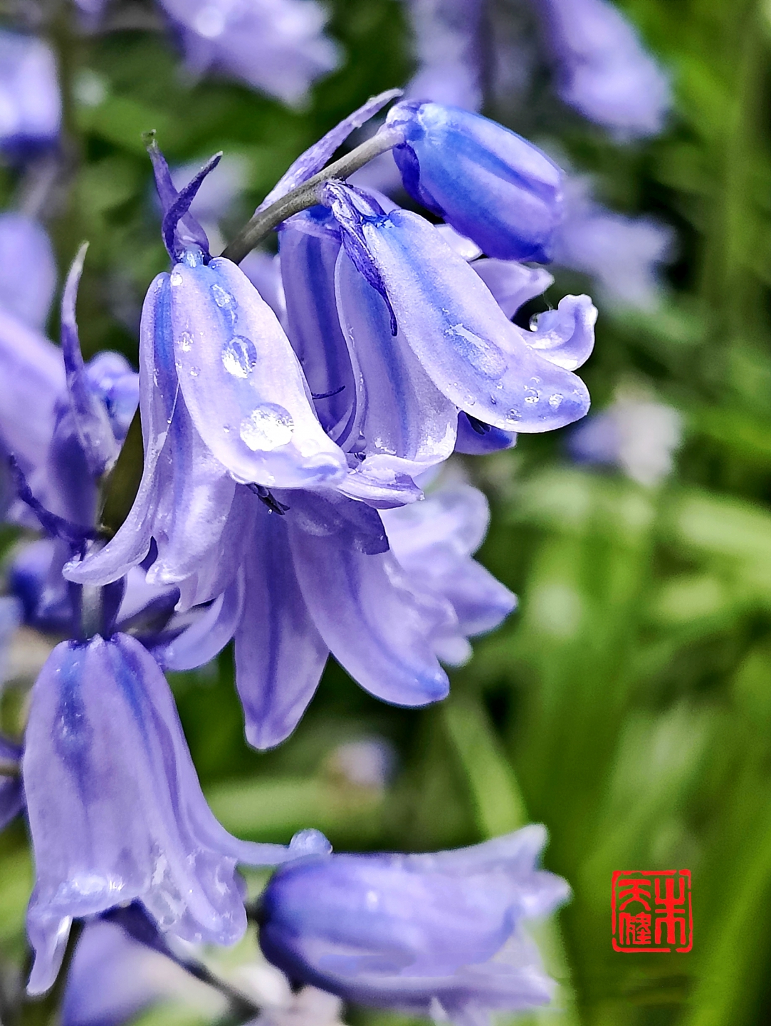 IMG20240510104125_.jpg