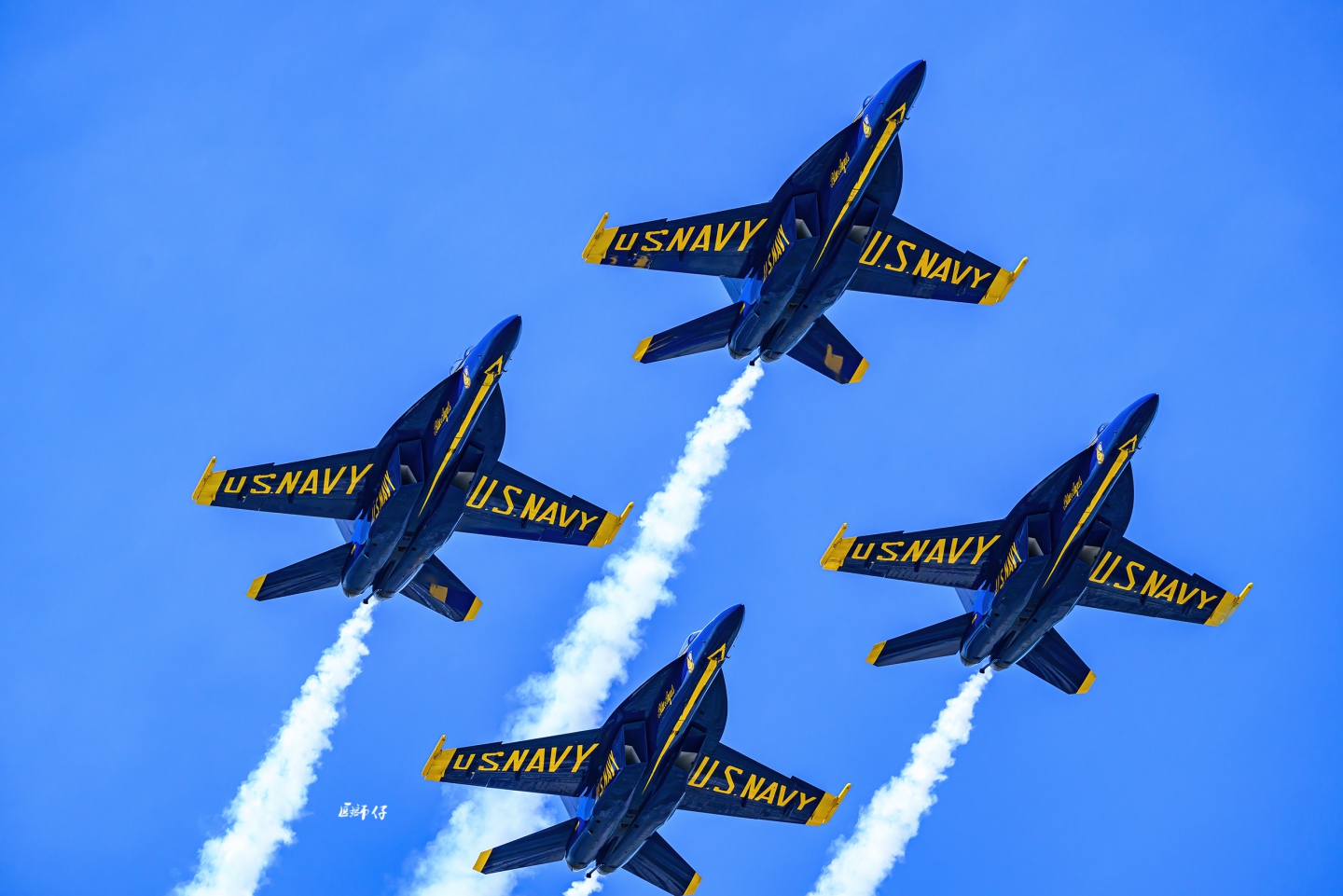 DSC_2685 .jpg