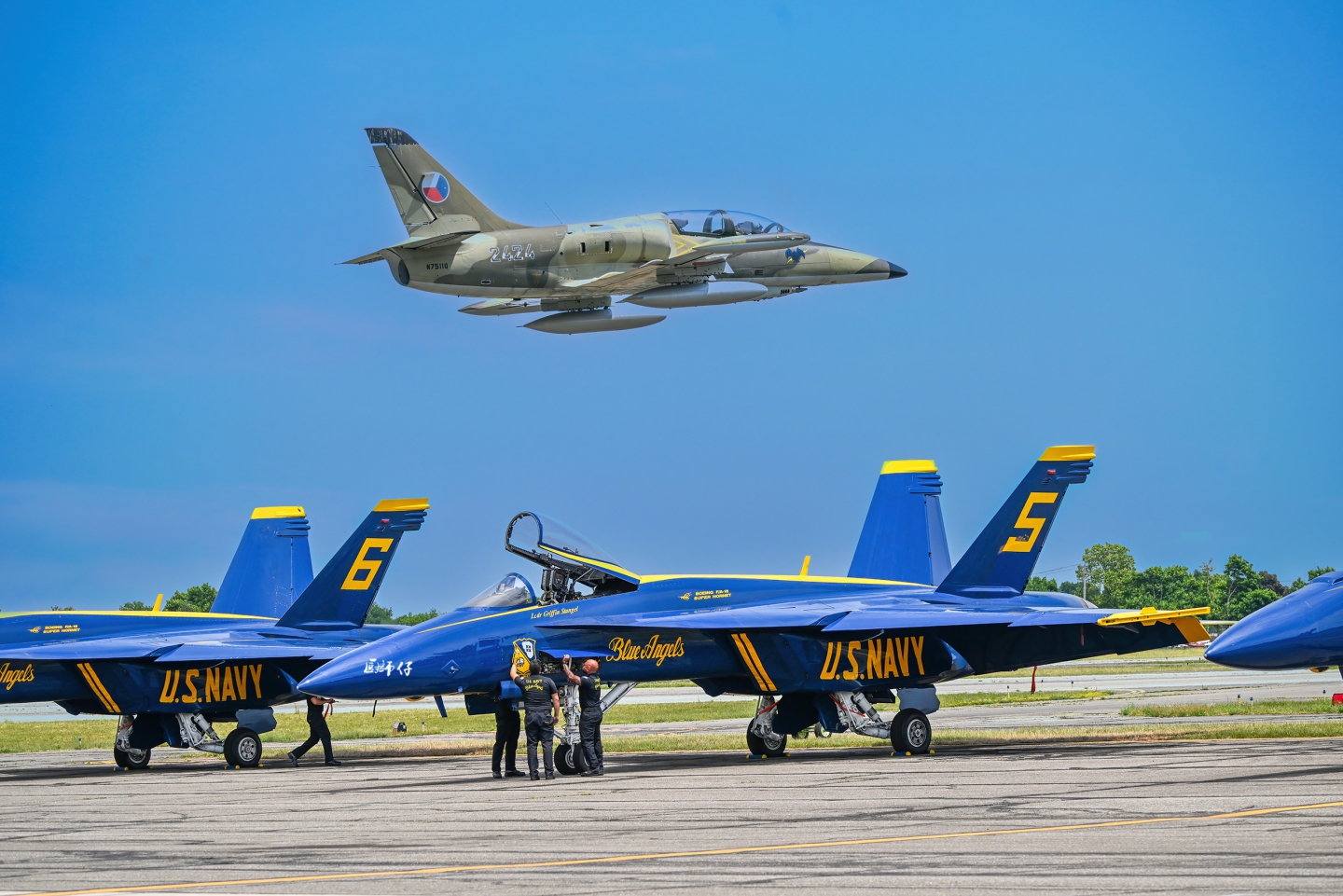 DSC_3847 .jpg