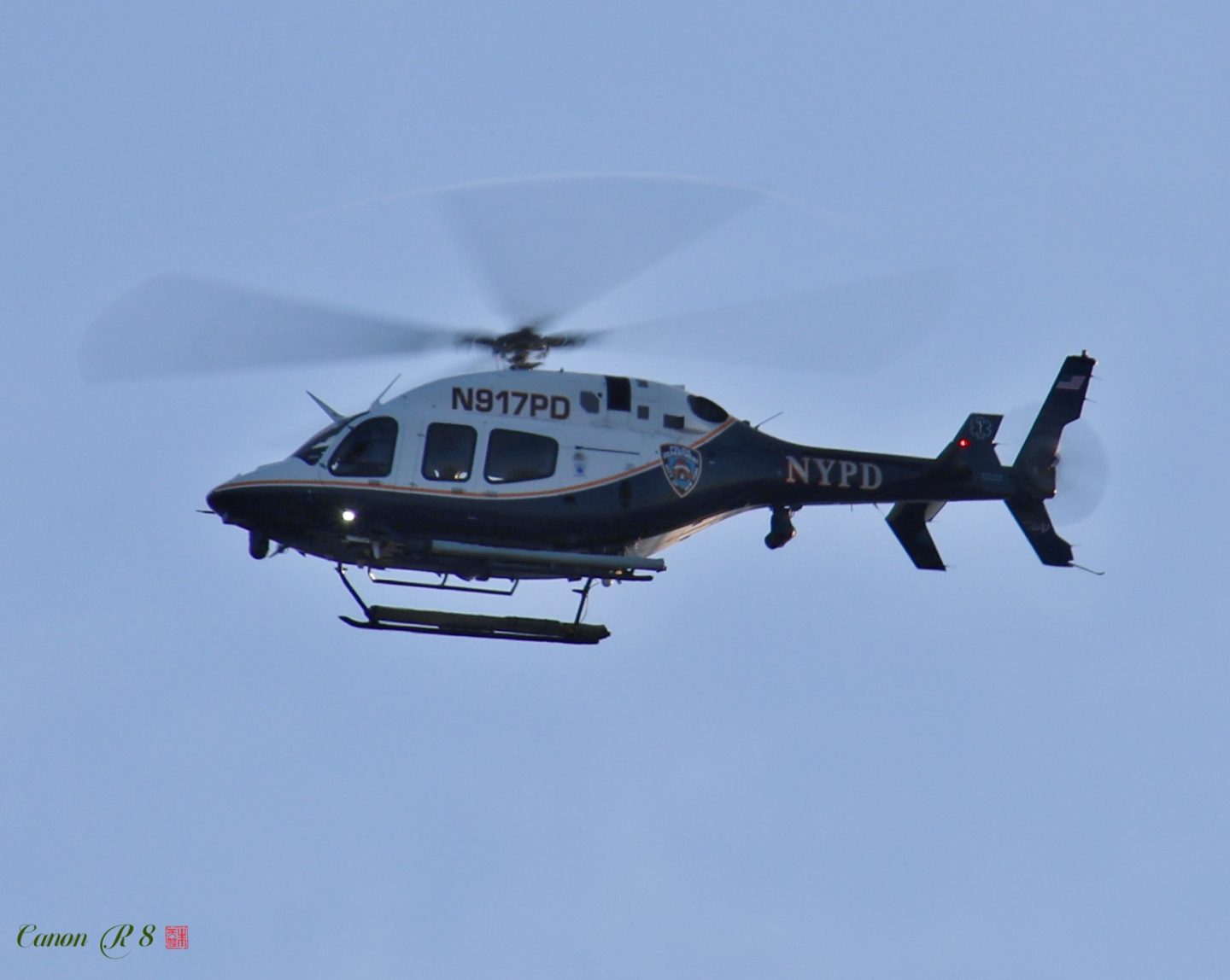 IMG_5250_.jpg