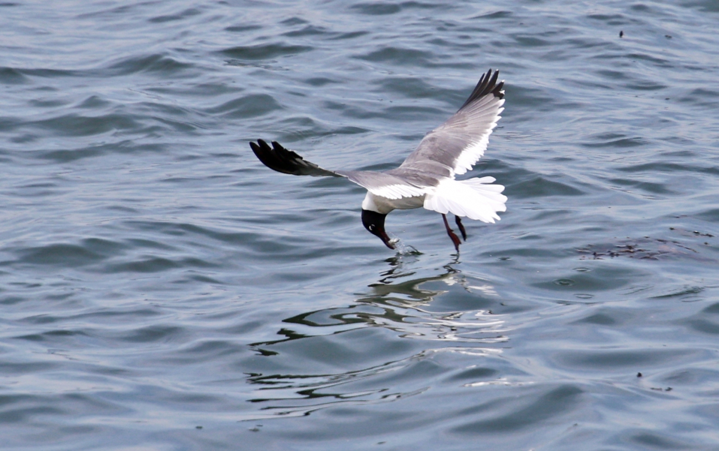 IMG_5689_.jpg