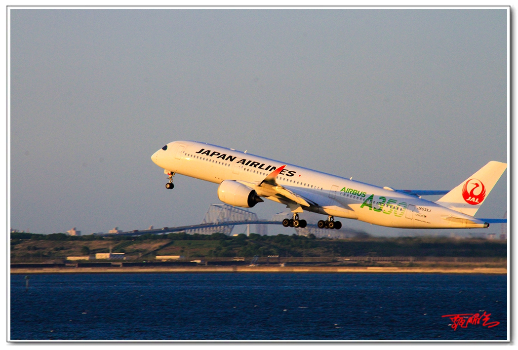 si20357103.jpg