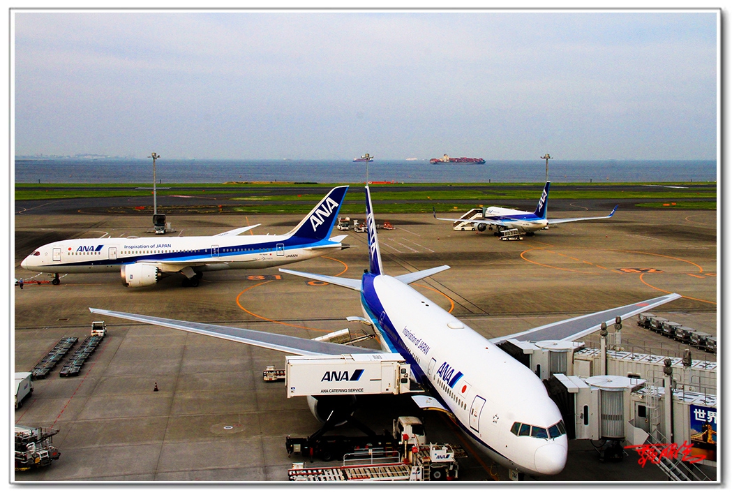 si2034446.jpg