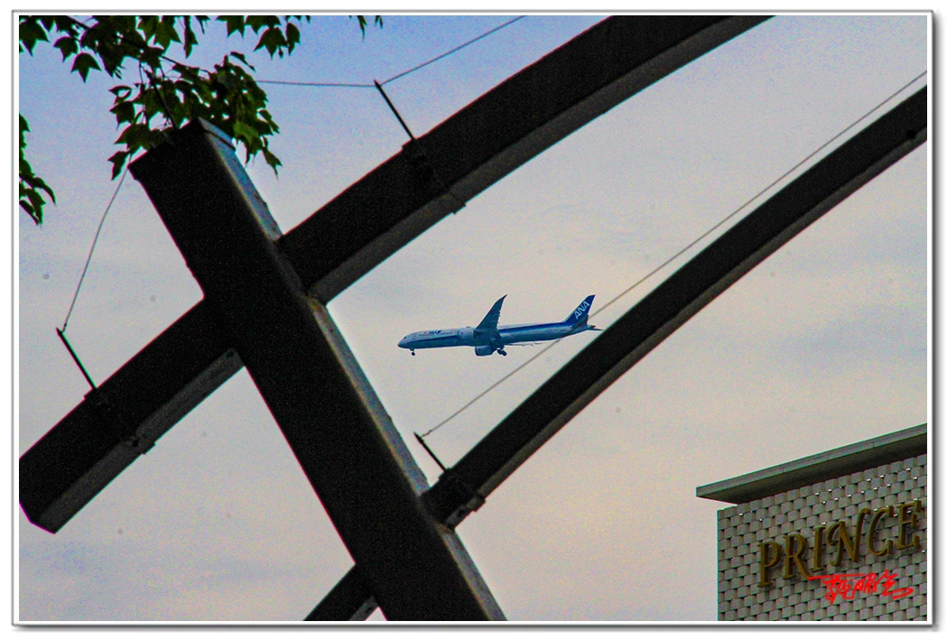 si203445510pg.jpg