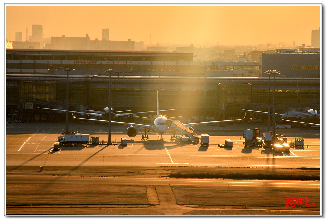 si2034441.jpg